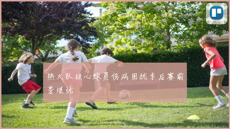 热火队核心球员伤病困扰季后赛前景堪忧