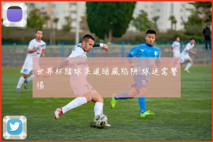 世界杯赌球渠道暗藏陷阱 球迷需警惕