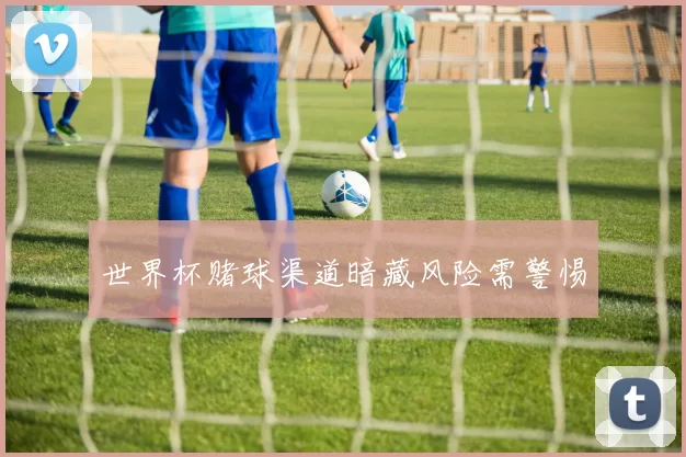 世界杯赌球渠道暗藏风险需警惕
