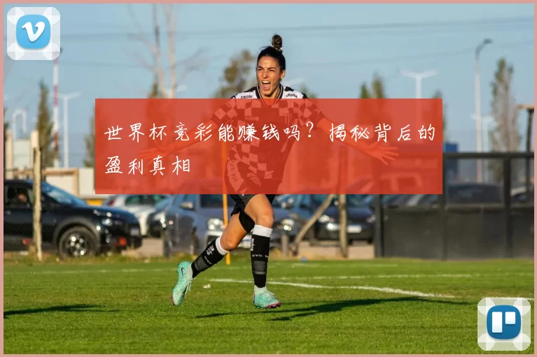 世界杯竞彩能赚钱吗?揭秘背后的盈利真相