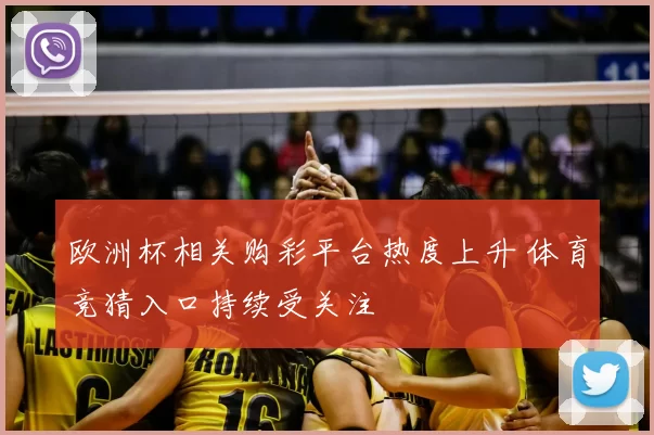 欧洲杯相关购彩平台热度上升 体育竞猜入口持续受关注