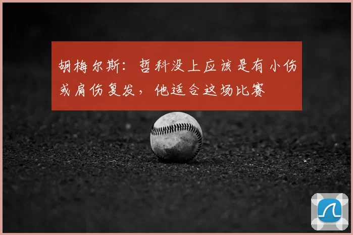 胡梅尔斯：哲科没上应该是有小伤或肩伤复发，他适合这场比赛