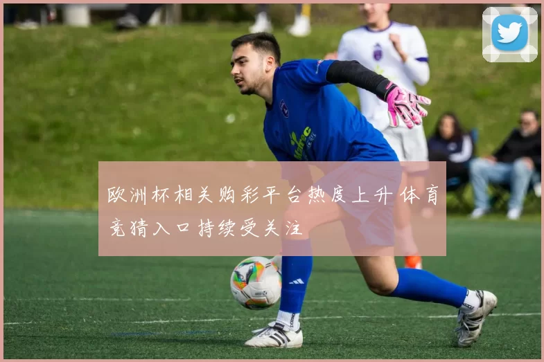 欧洲杯相关购彩平台热度上升 体育竞猜入口持续受关注