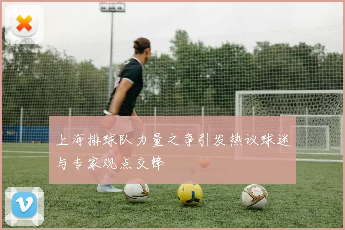 上海排球队力量之争引发热议球迷与专家观点交锋