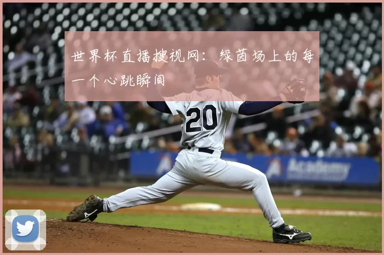 世界杯直播搜视网：绿茵场上的每一个心跳瞬间