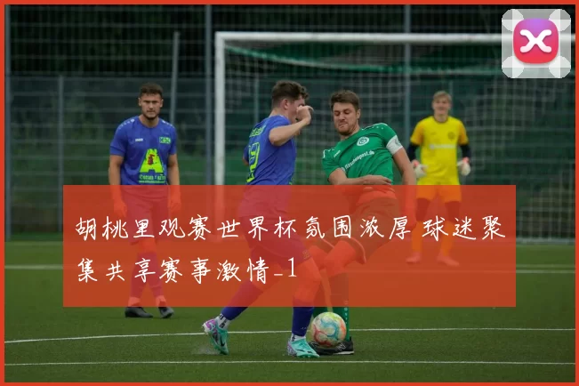 胡桃里观赛世界杯氛围浓厚 球迷聚集共享赛事激情_1